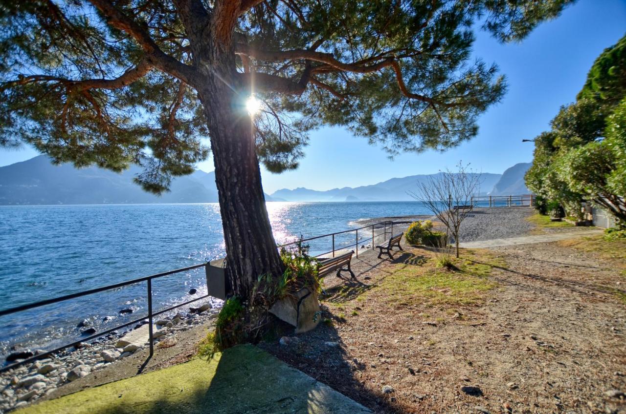 Acquaseria At The Lake 아파트 외부 사진